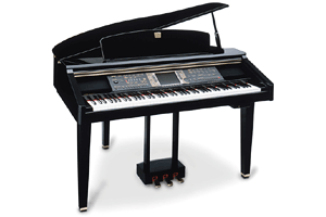 Yamaha Clavinova CVP900 